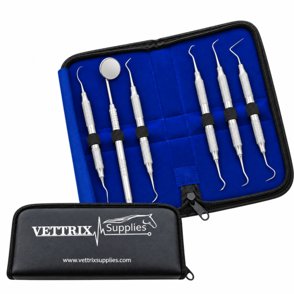 Dental Scaler Kit