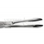 PEAN FORCEP 14CM - Image 4