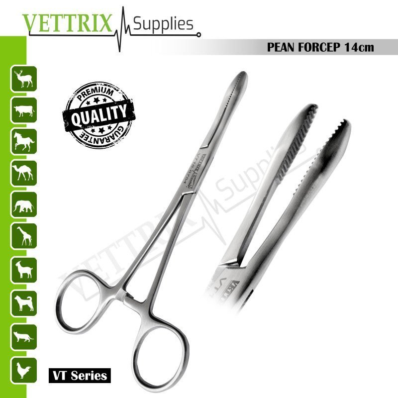 VT18-6754.jpg PEAN FORCEP 14CM - Image 1