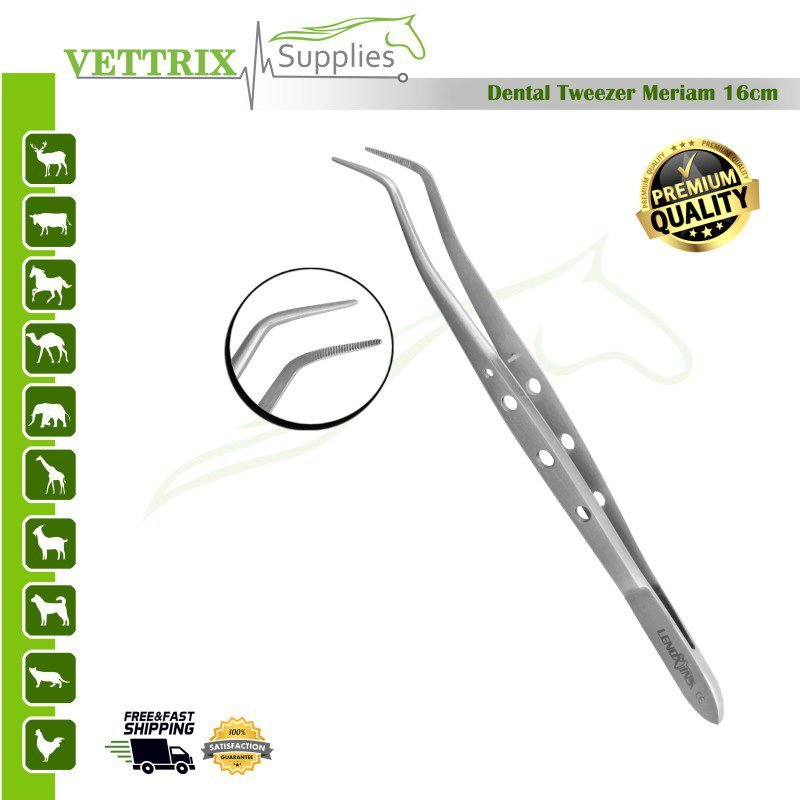 VS06-13-102.jpg Dental Tweezers Meriam 16cm | Vettrix Supplies - Image 1
