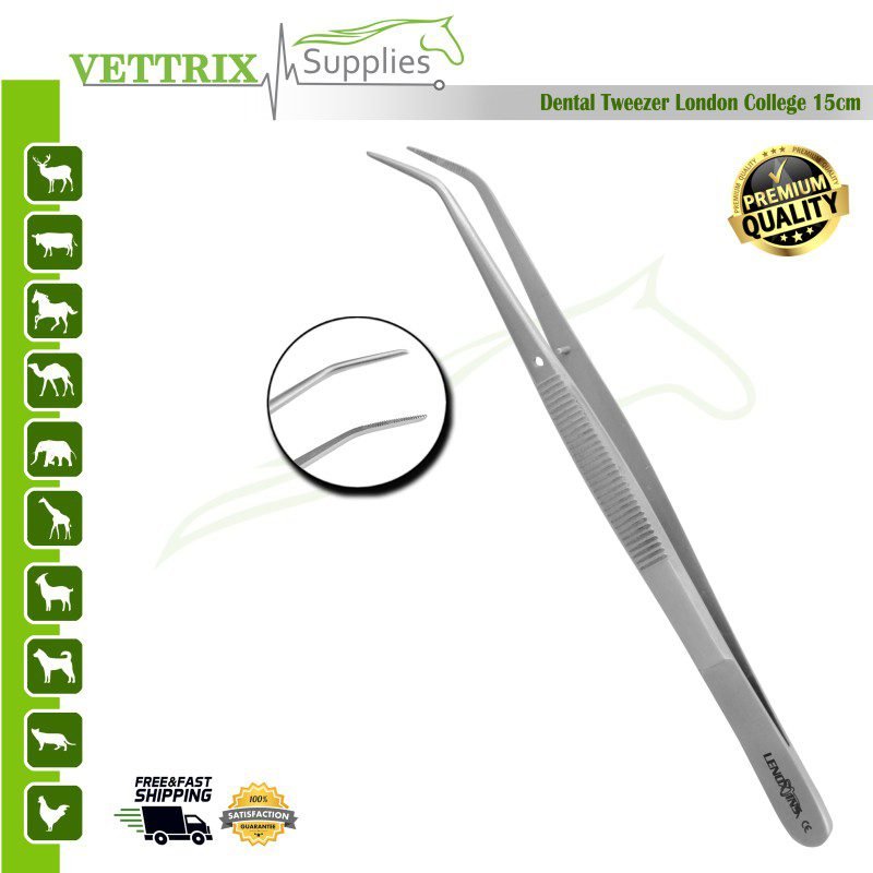 VS08-13-103.jpg Dental Tweezers London College 15cm | Vettrix Supplies - Image 1