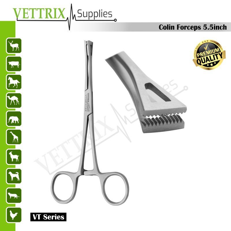 VT08-4124.jpg Colin Forceps 5.5-inch - Image 1
